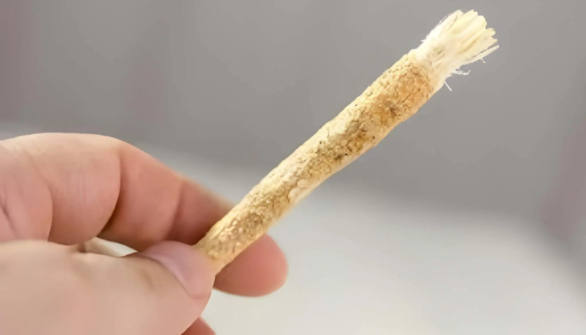 روزے-کے-دوران-مسواک-جائز-ہے-یا-نہیں؟