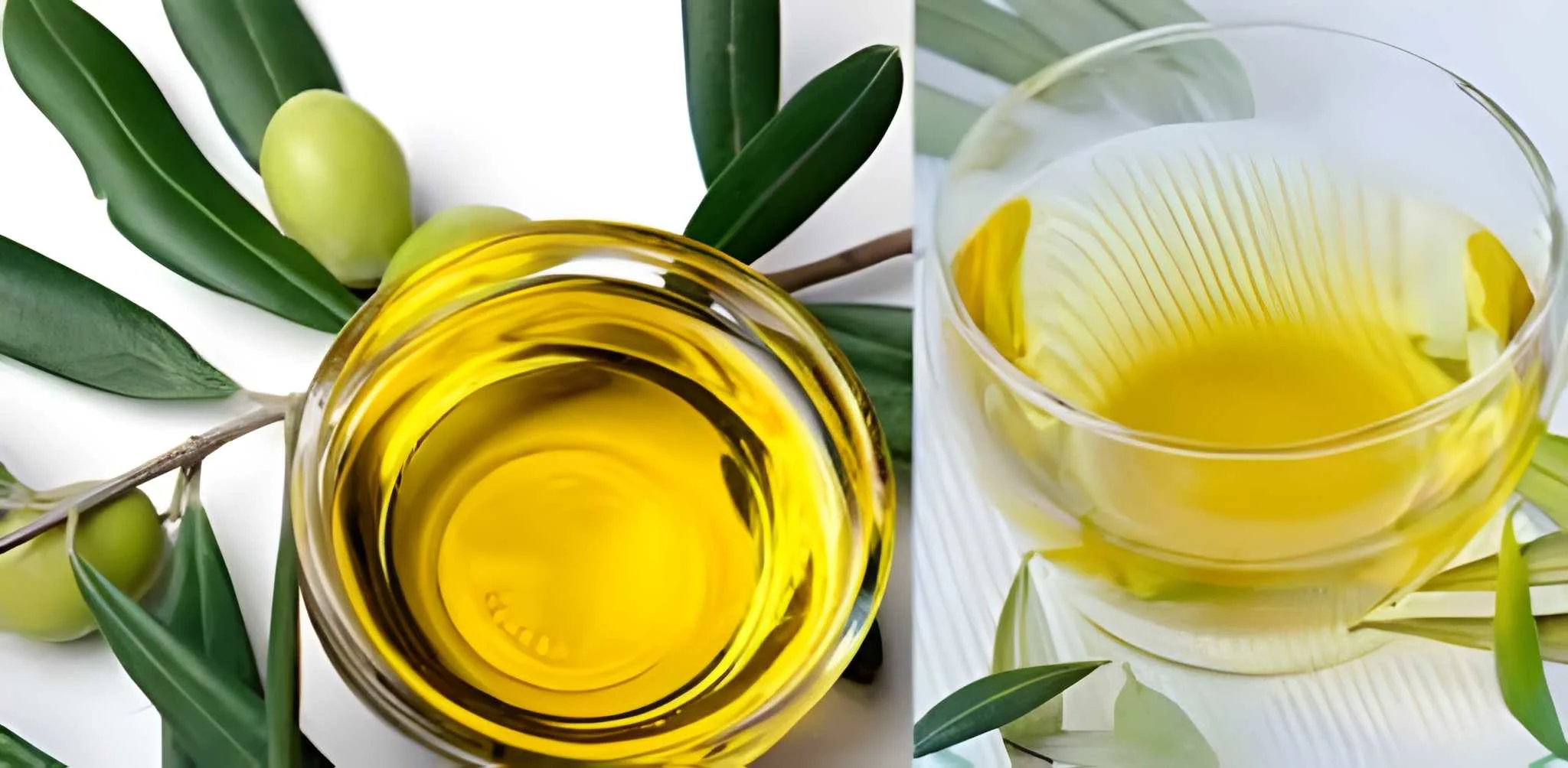 زیتون کے پتوں کی چائے کے حیران کن فوائد