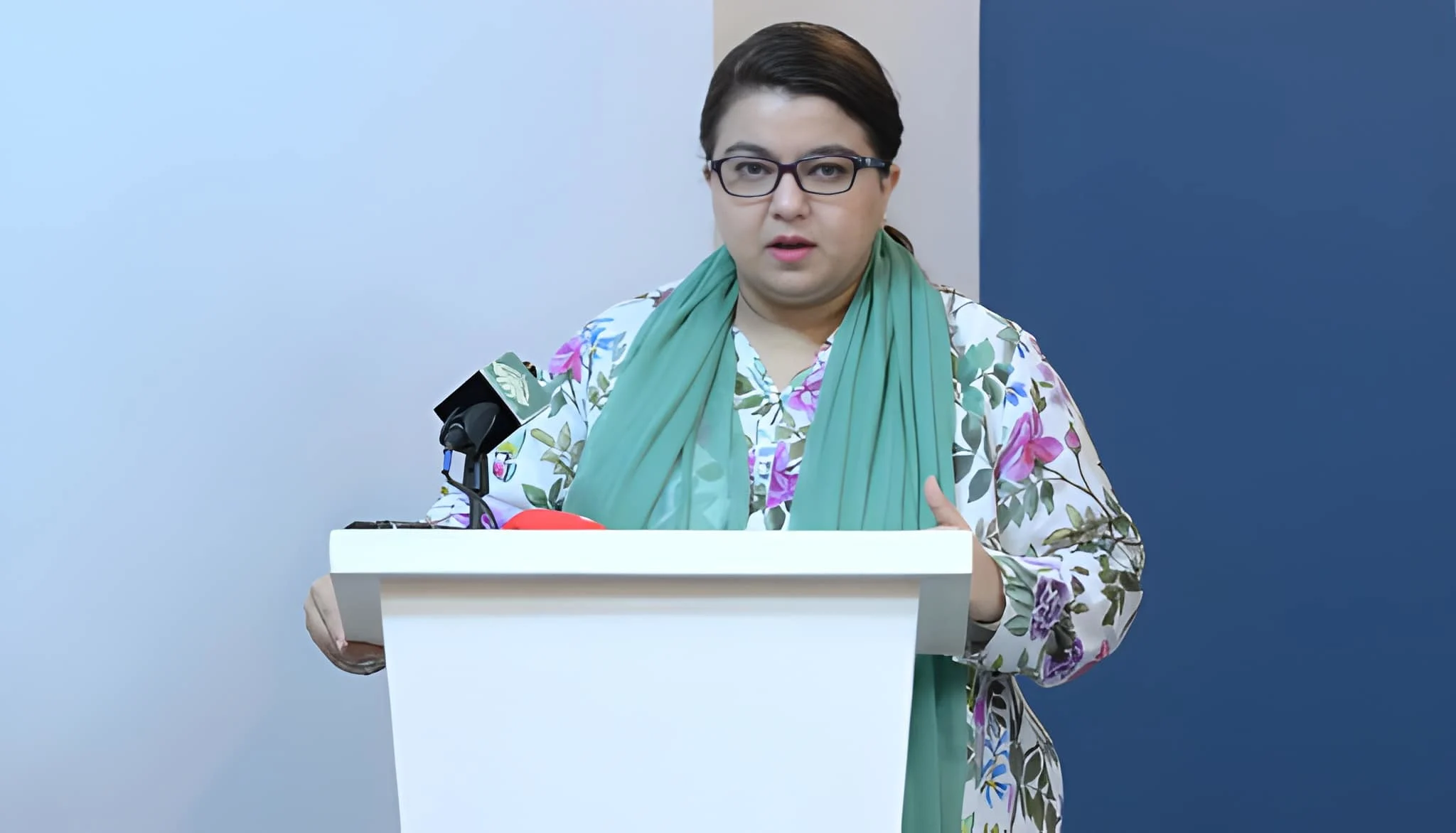 شزا فاطمہ نے ٹیلی کام بل سے متعلق خدشات مسترد کر دیے