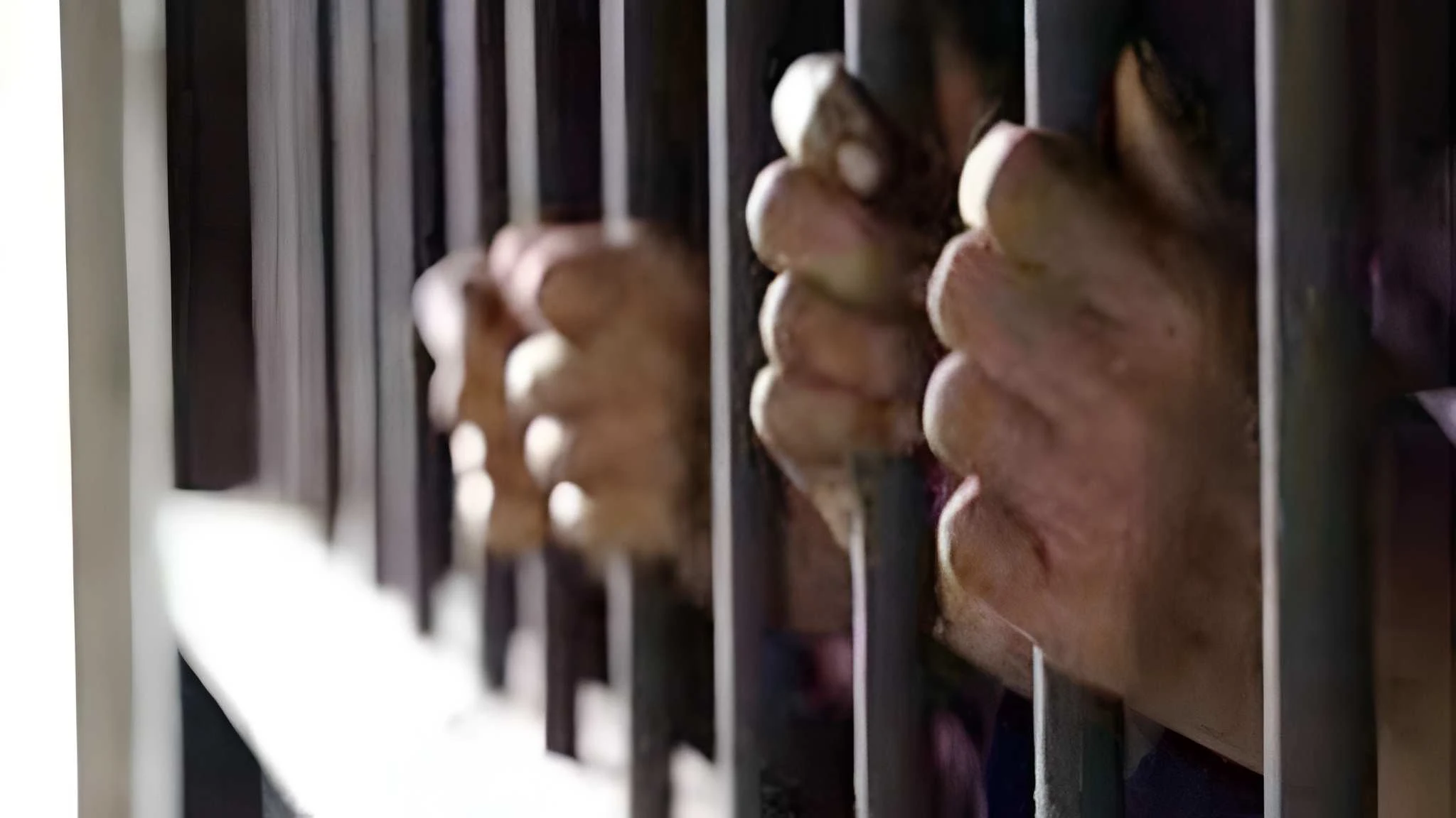 کومنگ آپریشن میں جڑواں شہروں سے 22 افراد گرفتار، 15 افغان باشندے شامل