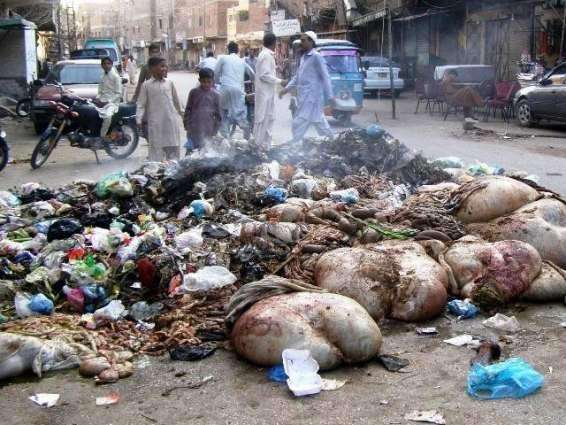 عید-الاضحی-کے-لئے-صفائی-مہم-کا-منصوبہ۔