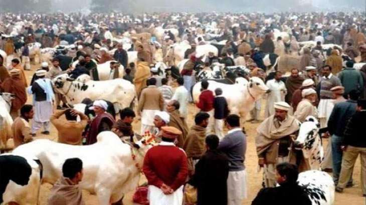 سکھر-میونسپل-ایڈمنسٹریشن-(ایس-ایم-اے)-عید-الاضحی-کے-لئے-صفائی-ستھرائی-کا-منصوبہ-تیار-کررہی-ہے۔