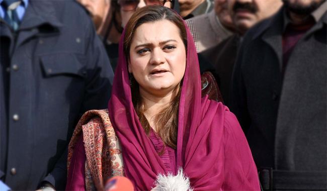 ن-لیگ-نےسی-ای-سی-اجلاس-اورکیپٹن-صفدرسے-متعلق-خبریں-مسترد-کردیں