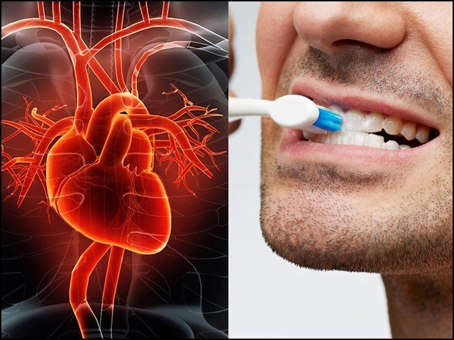 دانت-صاف-رکھیے...-تاکہ-دل-محفوظ-رہے،-ماہرین