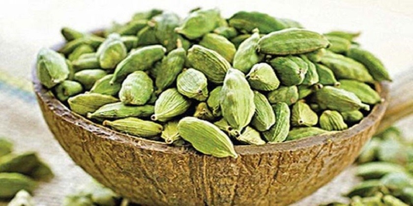 صرف-ایک-الائچی