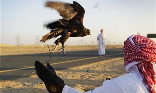قطر-کے-امیر-کو-پاکستان-سے-شاہینوں-کی-برآمدات-کی-اجازت