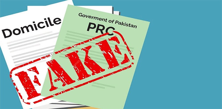سندھ-میں-جعلی-ڈومیسائل-پر-وفاقی-حکومت-کا-اہم-اقدام