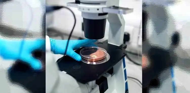 ag-peptidebased-regulatory-mechanisms-in-scientific-studieshkcu-explorin