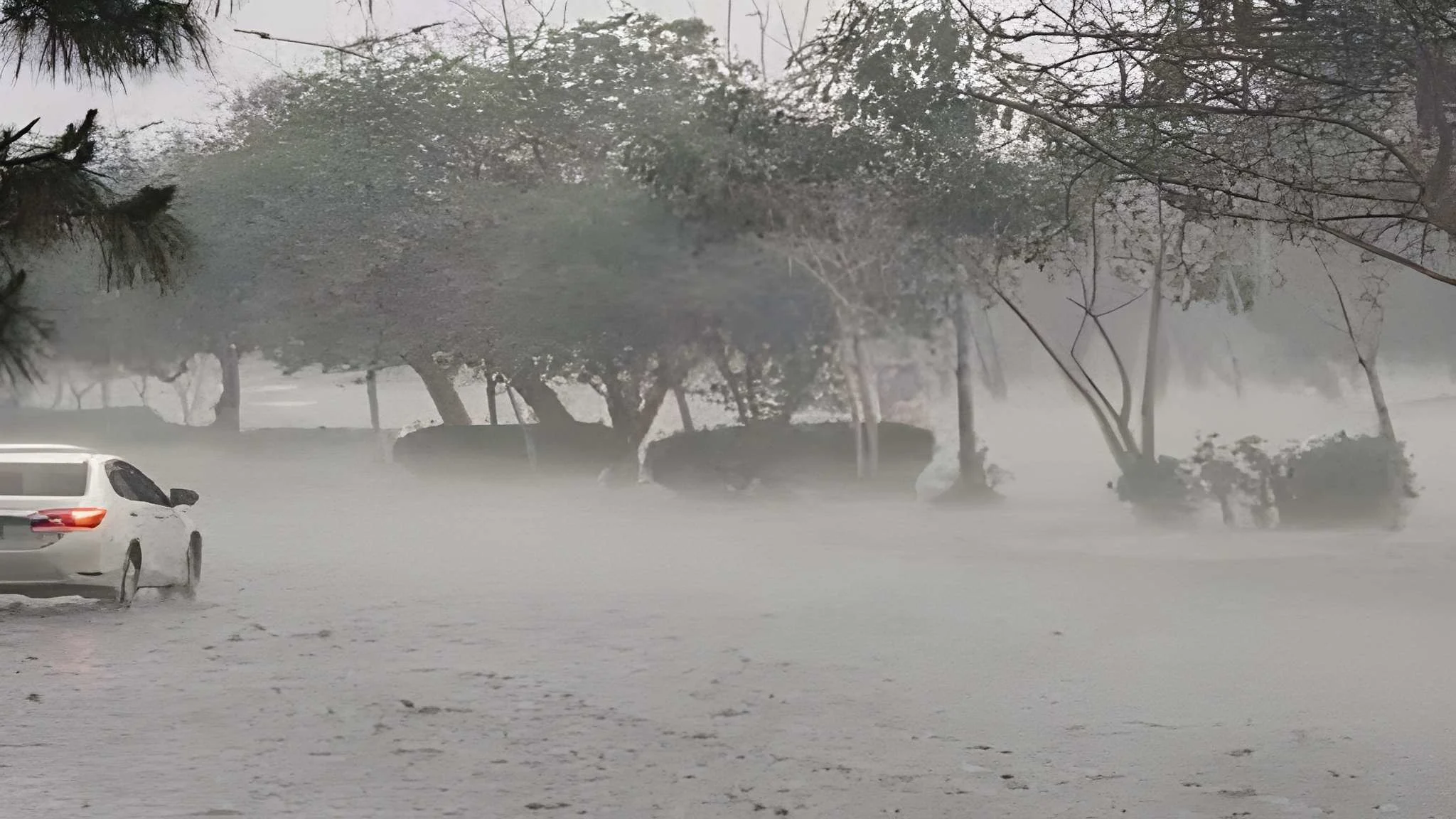 heavy-rain-thunderstorms-expected-in-upper-parts-of-country-pmd