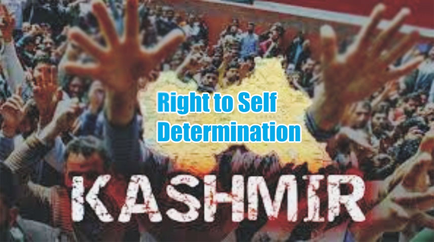 kashmiris-observe-right-to-self-determination-day-worldwide
