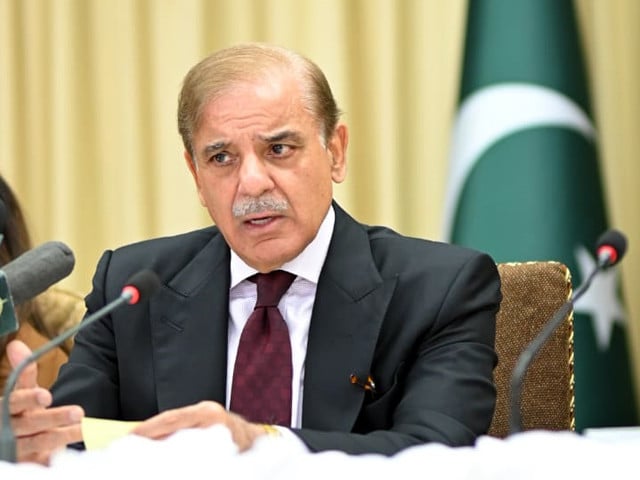 pm-s-son-in-law-gets-extension-in-interim-bail