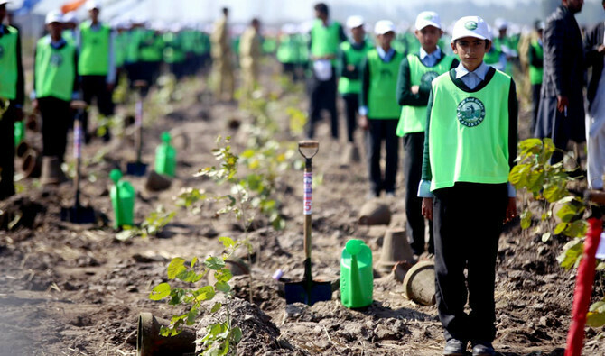pml-n-govt-allocates-rs9-45b-for-pti-s-billion-tree-tsunami-project