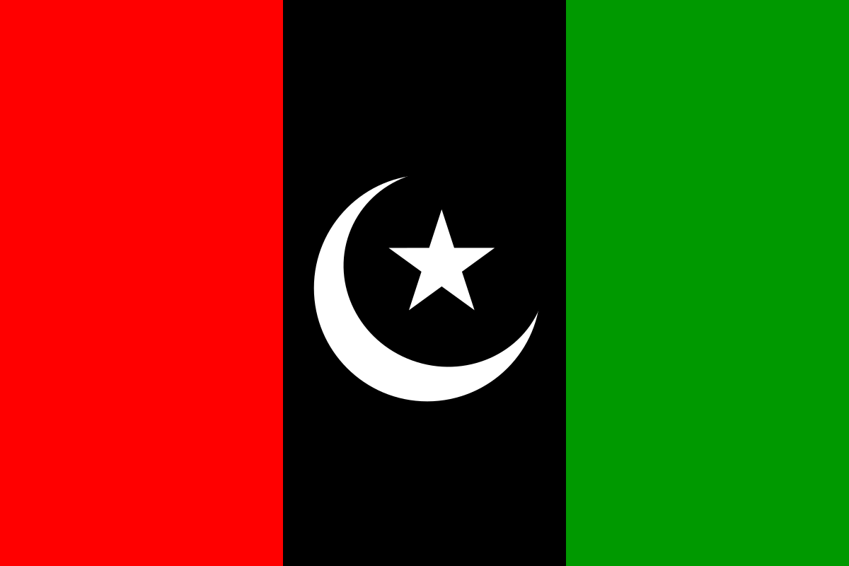 ppp-seeks-applications-from-candidates-for-na-249-by-polls