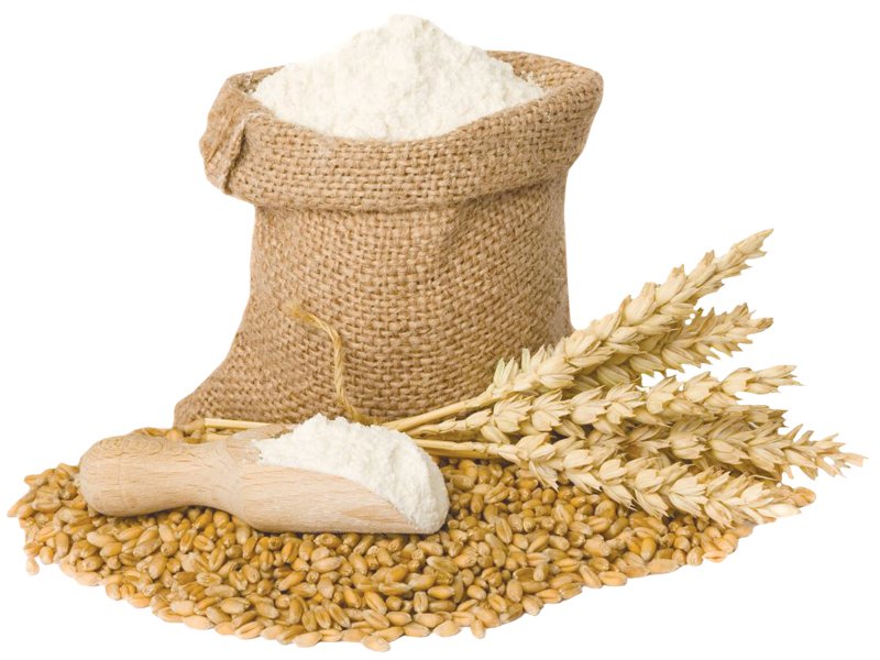 punjab-faces-wheat-shortage-after-devastating-floods