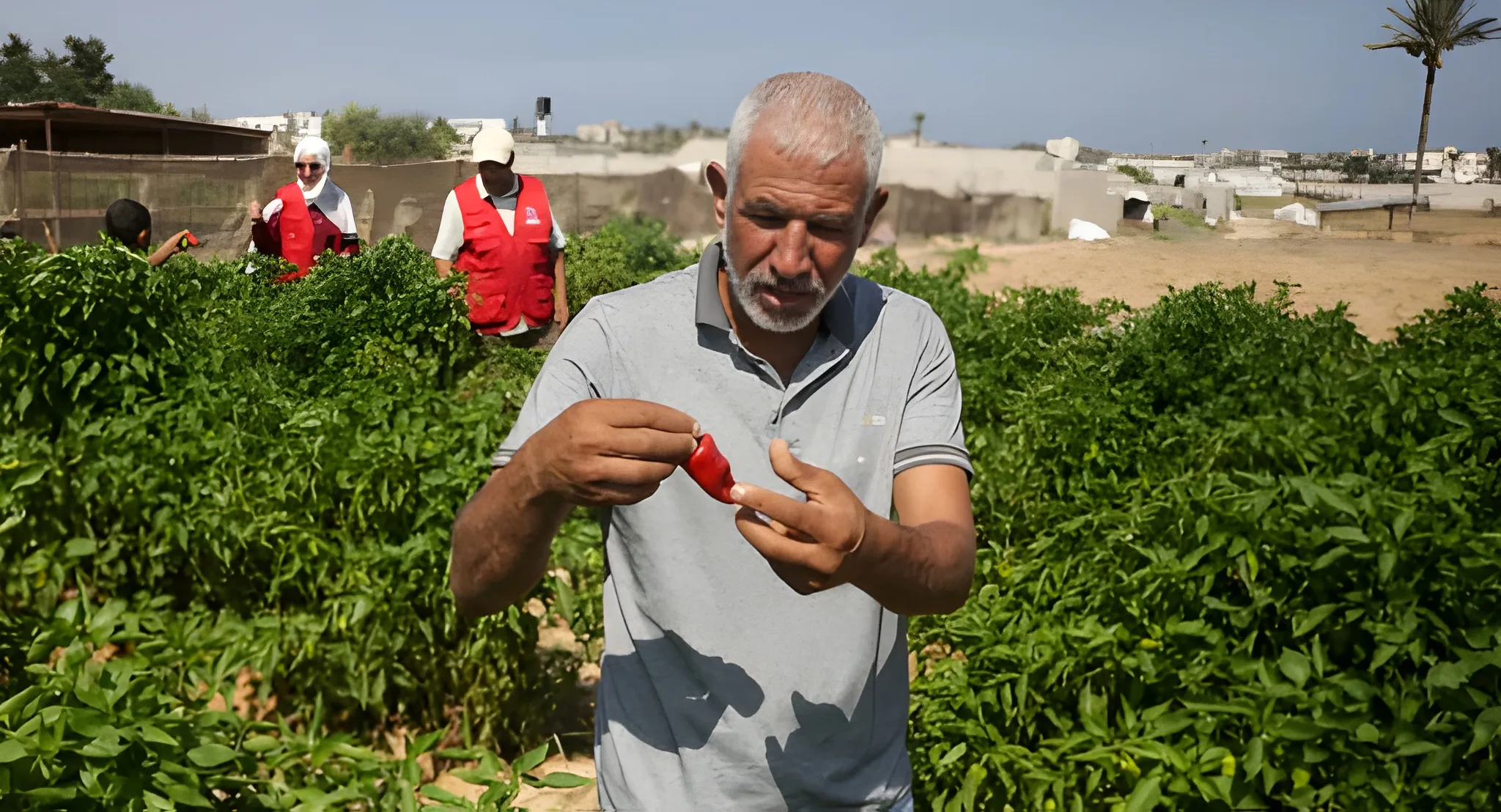 ray-of-hope-gaza-seed-bank-rebuilds-after-wartime-destruction