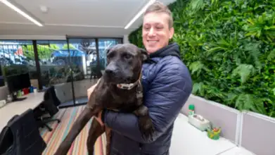 tech-entrepreneur-leverages-ai-to-create-a-personalized-cancer-vaccine-for-a-dog
