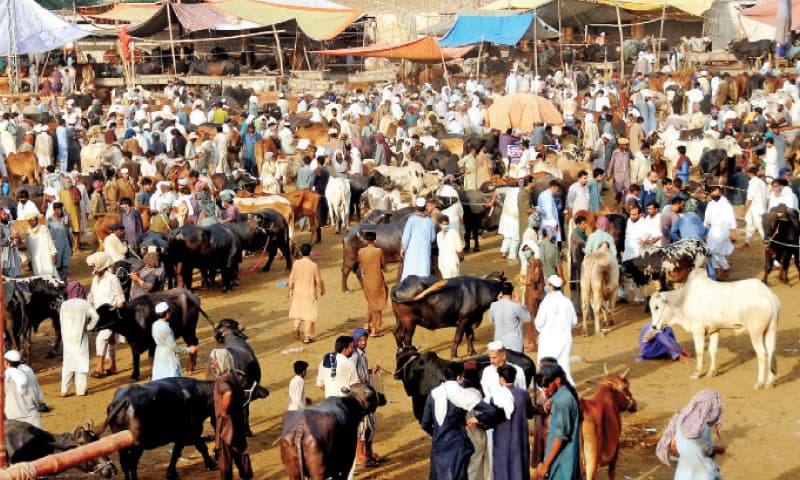 when-will-eidul-azha-and-ashura-be-in-pakistan-this-year