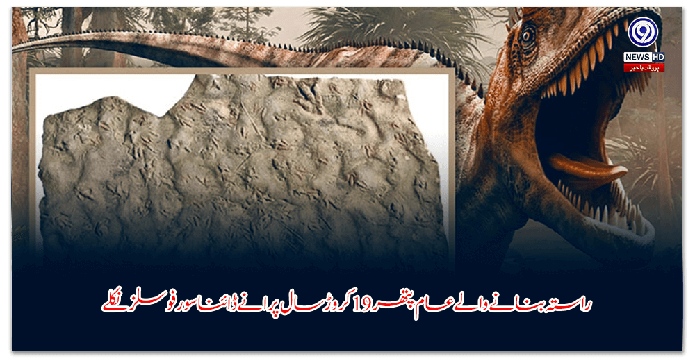 راستہ-بنانے-والے-عام-پتھر-کروڑ-سال-پرانے-ڈائناسور-فوسلز-نکلے