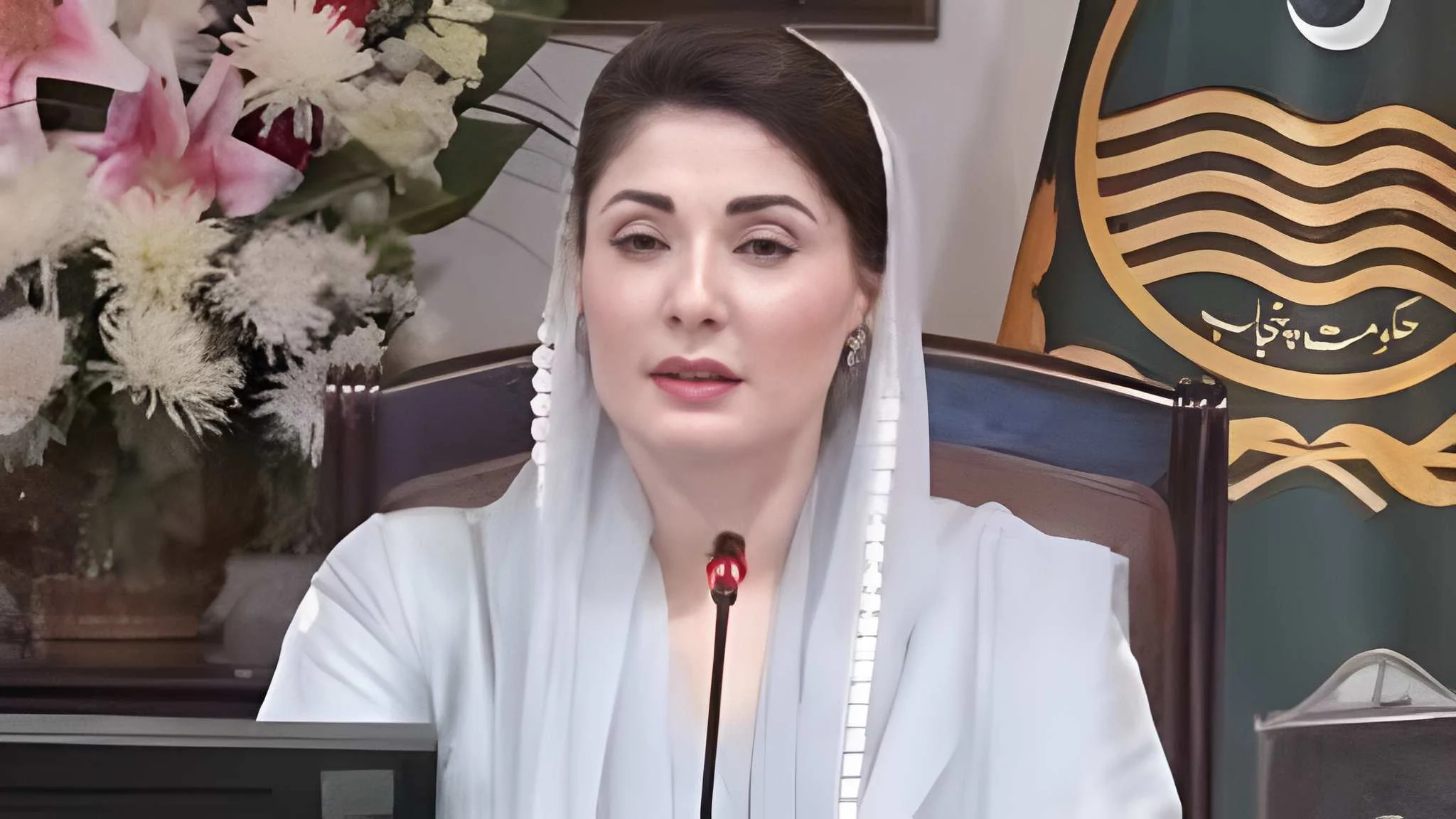 مریم-نواز-کا-پنجاب-میں-28-مارچ-کو-ارتھ-آور-منانے-کا-اعلان