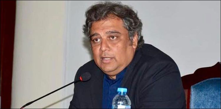 سندھ-میں-آٹے-کا-بڑا-بحران-آنے-والا-ہے،-علی-زیدی-کی-پیش-گوئی