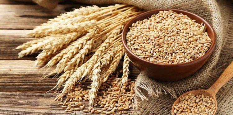 فطرہ-اور-فدیہ-کی-رقم-125-روپے-مقرر