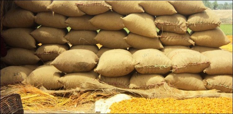 سندھ-کا-14لاکھ-میٹرک-ٹن-گندم-کی-خریداری-کا-ہدف