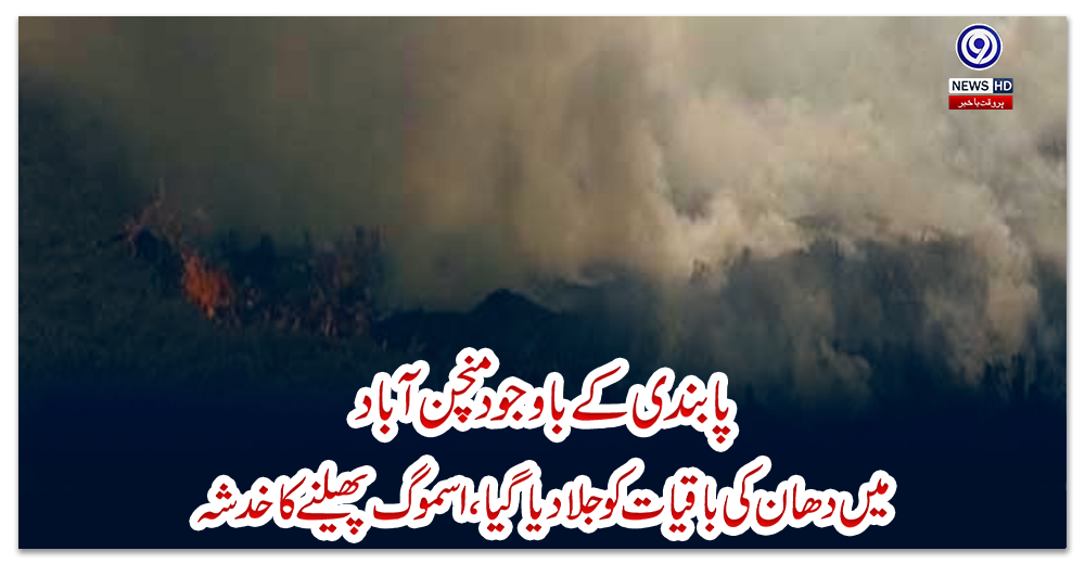 پابندی-کے-باوجود-منچن-آباد-میں-دھان-کی-باقیات-کو-جلا-دیا-گیا،-اسموگ-پھیلنے-کا-خدشہ