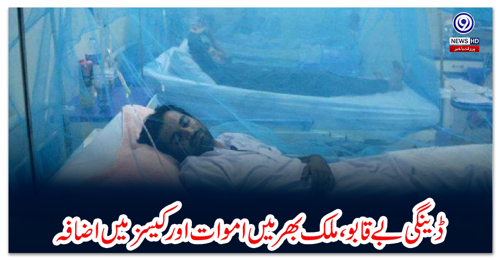 ڈینگی-بے-قابو،-ملک-بھر-میں-اموات-اور-کیسز-میں-اضافہ