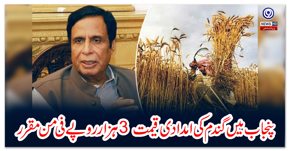 پنجاب-میں-گندم-کی-امدادی-قیمت-3-ہزار-روپے-فی-من-مقرر