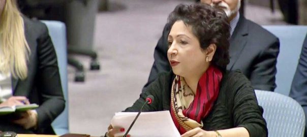 unsc-being-failed-to-implement-its-resolutions-on-ihk-maleeha