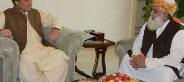 maulana-fazlur-rehman-meets-nawaz-sharif-at-jati-umra