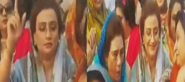 slip-of-the-tongue-pml-ns-uzma-bukhari-chants-go-nawaz-go