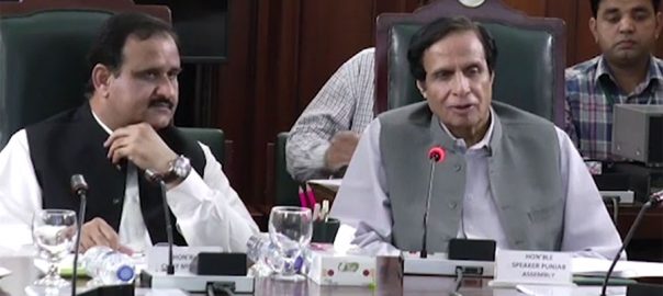 pervaiz-elahi-denies-differences-between-pti-pml-q