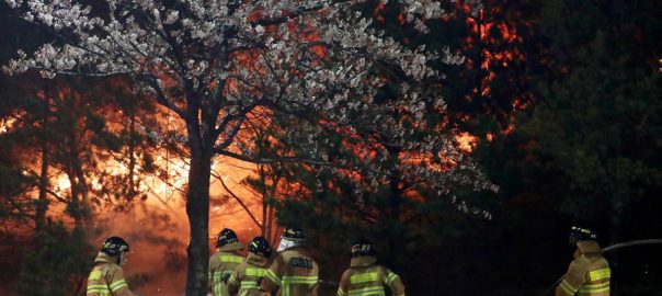 thousands-flee-wildfire-in-south-koreas-eastern-coast-one-dead