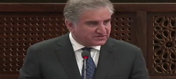 will-continue-sincere-efforts-for-afghan-peace-process-fm-qureshi