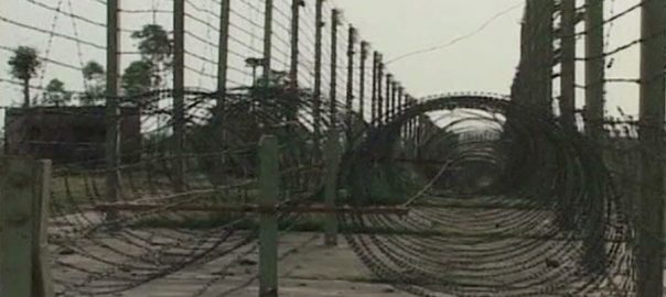 woman-injured-in-indian-unprovoked-firing-in-rawalakot-sector-along-loc