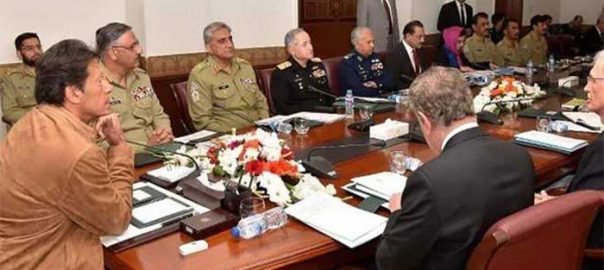 pm-chairs-nsc-meeting-progress-on-nap-implementation-discussed