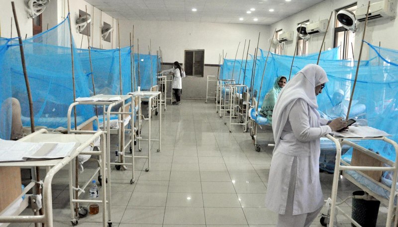 four-more-dengue-patients-die-across-country