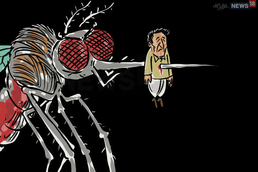 dengue-cases-soar-to-record-high-of-44000-in-pakistan-this-year-says-health-official