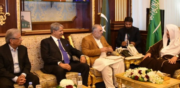 na-speaker-meets-chairman-saudi-shura-council-2