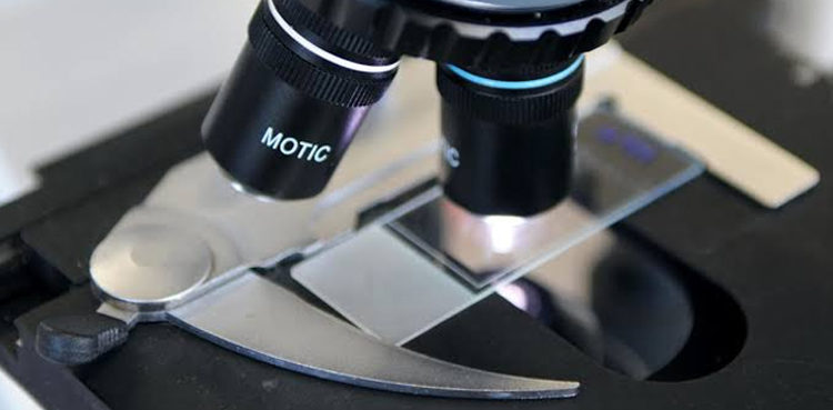 scientists-find-powerhouses-that-fight-tumors-from-within