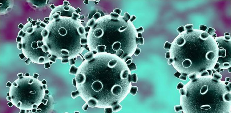 the-us-confirms-the-11th-case-of-novel-coronavirus