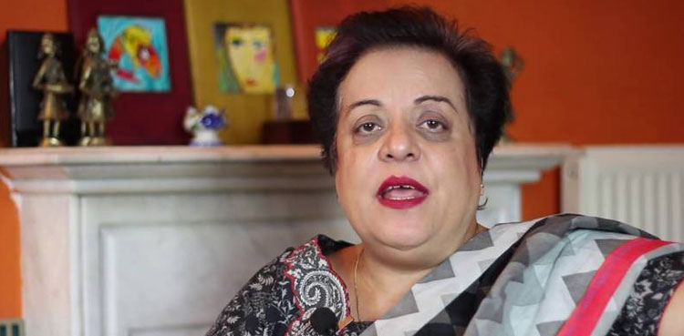 shireen-mazari-equates-indian-steps-in-iojk-with-us-styled-formula-for-palestine