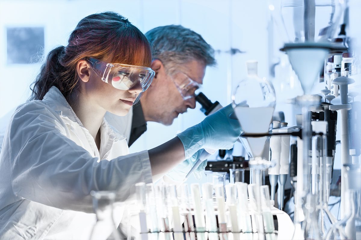 could-artery-fat-actually-improve-blood-vessel-function