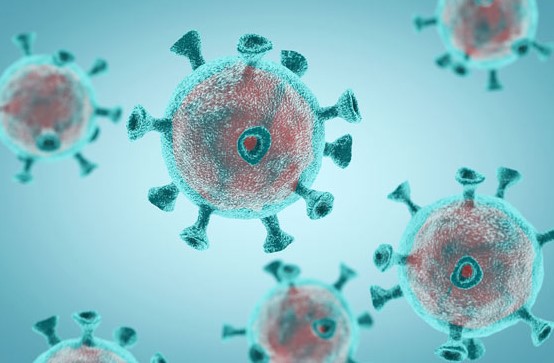 gut-bacteria-tied-to-covid-19-severity-immune-response