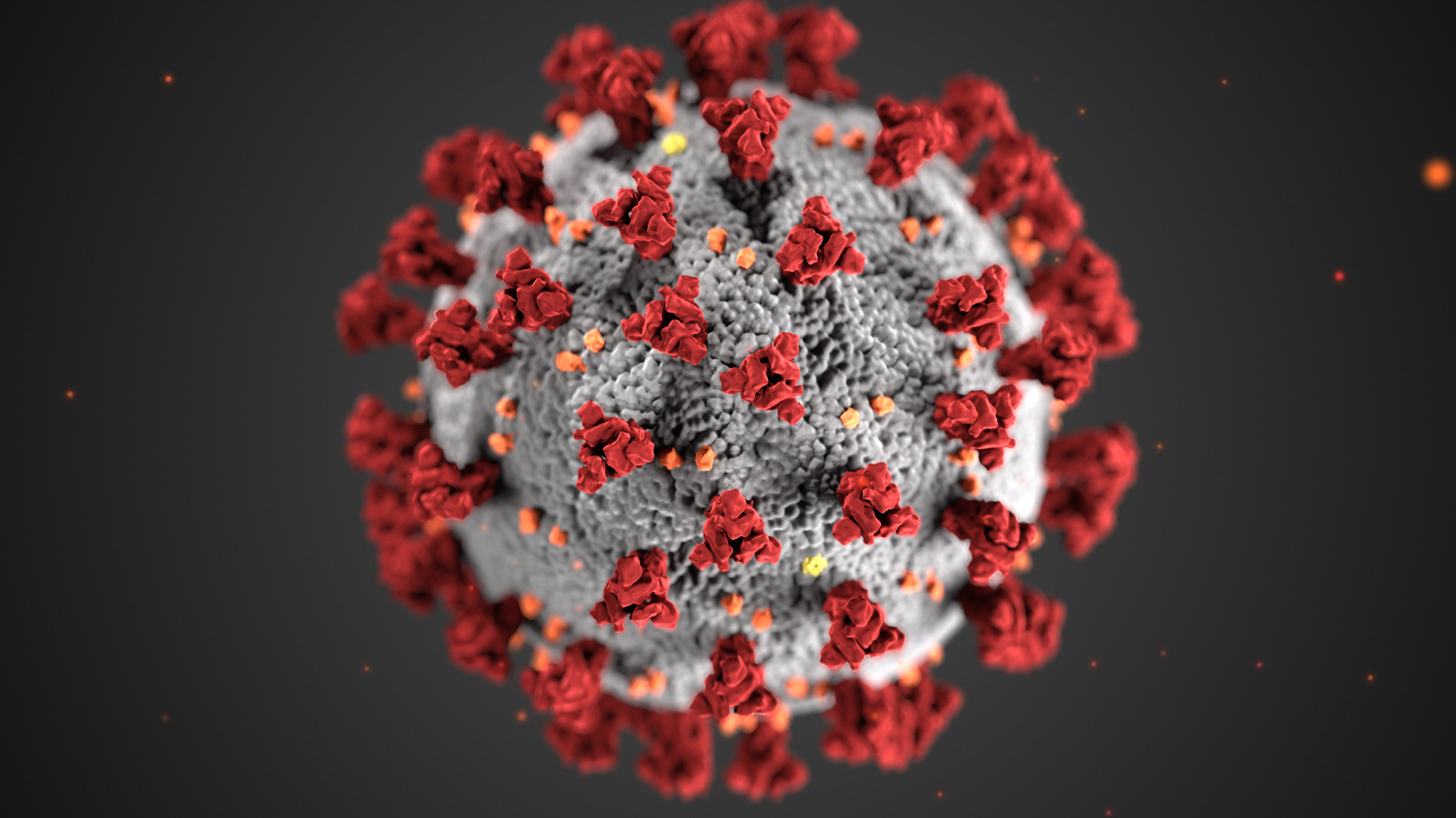 pakistan-records-over-80-covid-19-deaths-and-2184-infections-in-a-day